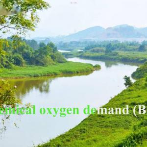 The Connection and Difference Between Biochemical Oxygen Demand and Chemical Oxygen Demand The Connection and Difference Between Biochemical Oxygen Demand and Chemical Oxygen Demand