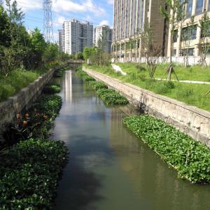 Key points for water quality testing operations in sewage treatment plants part seven Key points for water quality testing operations in sewage treatment plants part seven