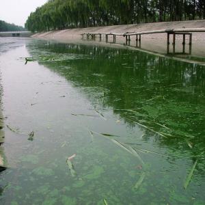 Key points for water quality testing operations in sewage treatment plants part eight Key points for water quality testing operations in sewage treatment plants part eight