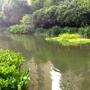 Key points for water quality testing operations in sewage treatment plants part eleven Key points for water quality testing operations in sewage treatment plants part eleven